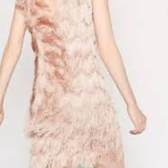 Zara pink blush fringe dress - Picture 3 of 5